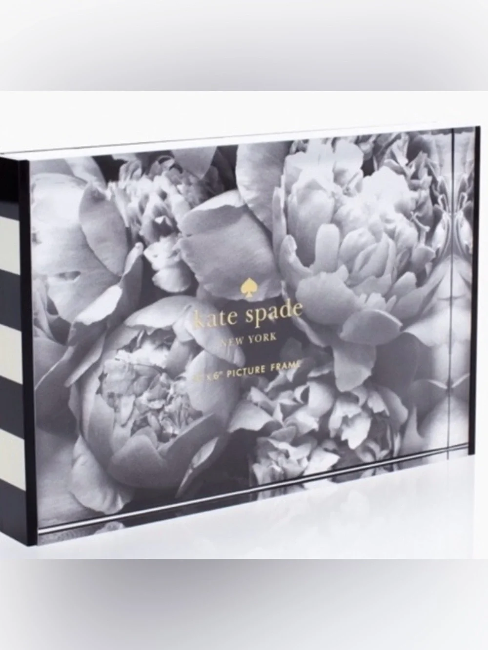 kate spade New York Frame 4x6 Acrylic Picture Frame **NIB**